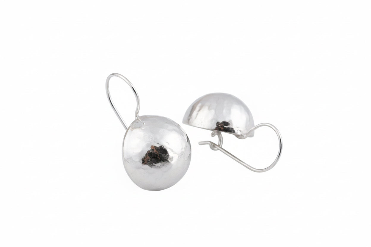 Earring Our Planet